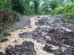 b2ap3_medium_house_by_the_lake-1-38